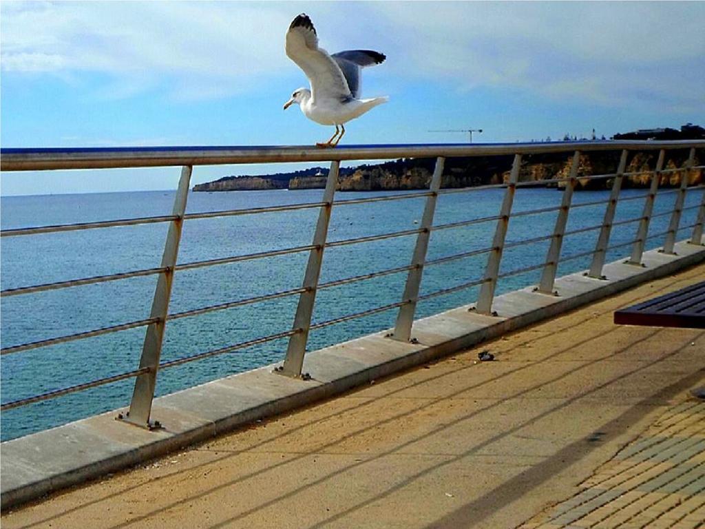 Appartamento Armacao Residences Armação de Pêra
